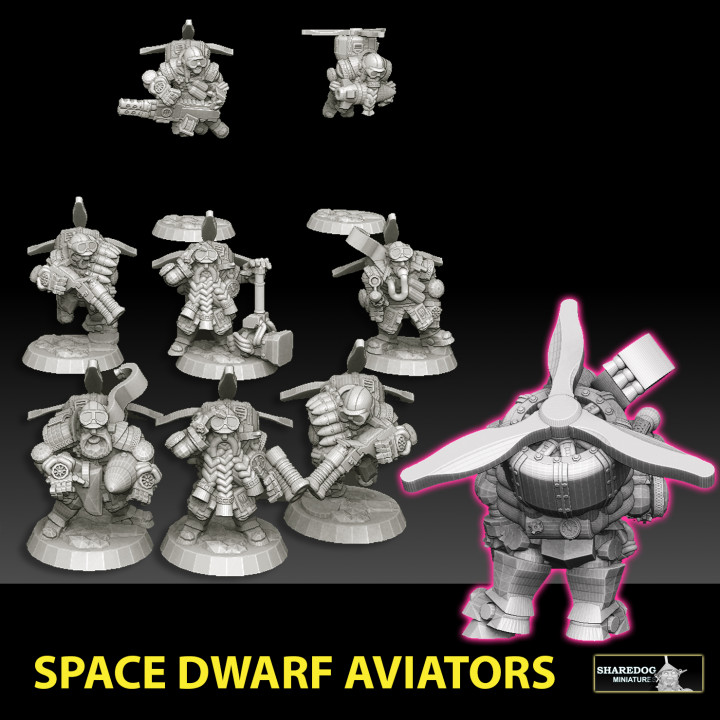 $5.00Space Dwarf Aviators