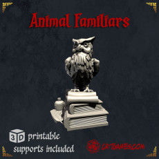 Animal Familiars