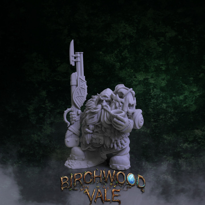 Birchwood Vale Heroes Dunlou's Cover