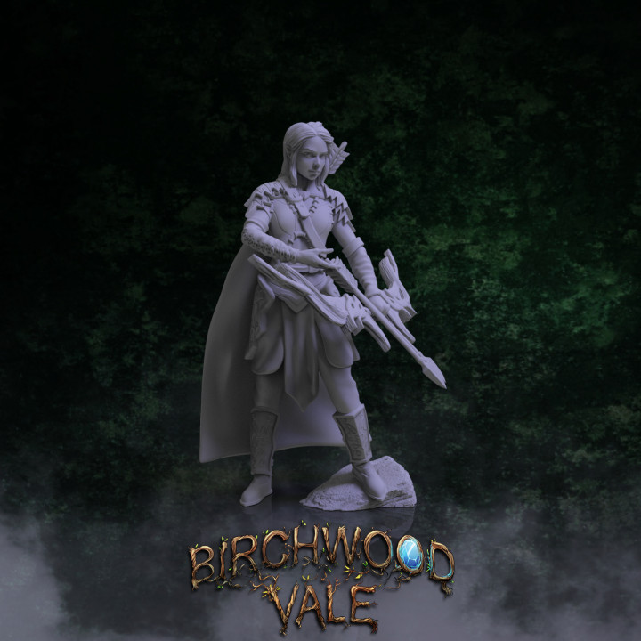 Birchwood Vale Heroes Loteriel's Cover