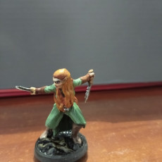 Picture of print of Aurielle - Elf warrior - 32mm - DnD -