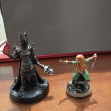 Picture of print of Lord of the Shadows- Dark lord - 32mm - DnD