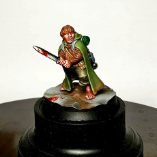 Picture of print of Samyi - Hobbit - 32mm - DnD This print has been uploaded by Gil