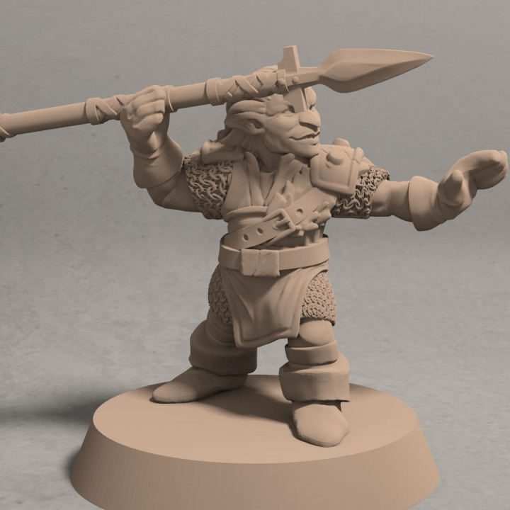 $1.99Nikta spear warrior pose 3 - 3D printable miniature - STL