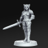 Ambar - Female Cat soldier - 32mm - DnD - image