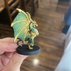 Picture of print of Flimtrax - Dragon - 32mm - DnD