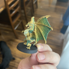 Picture of print of Flimtrax - Dragon - 32mm - DnD