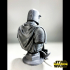 Mandalorian Bust - Star Wars 3D Models - Tested and Ready for 3D printing image