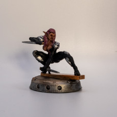Picture of print of PINK SADNESS FEMALE ELF ASSASSIN This print has been uploaded by Daniel