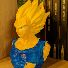 Picture of print of Majin Vegeta Bust This print has been uploaded by Jérémy CHAUVIN