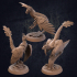 Flying Raptors - Presupported image