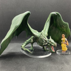 Picture of print of Wyvern This print has been uploaded by Phoenix