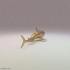 FREE Shark 3D image