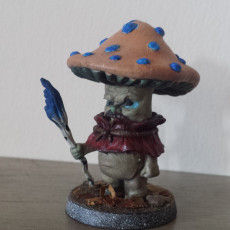 Picture of print of Mushroom Wizard