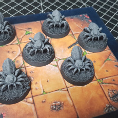 Picture of print of Spider Set !SUPPORTED! !FREE!