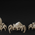 Spider Set !SUPPORTED! !FREE! image