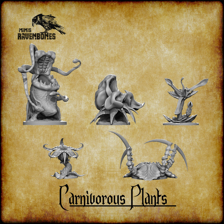 Carnivorous Plants bundle Pre-supported's Cover