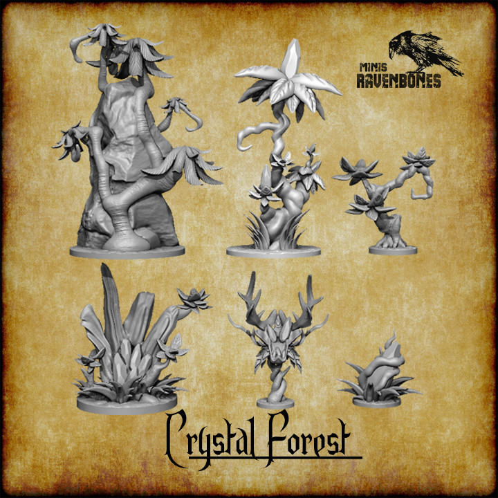 Crystal Forest's Cover