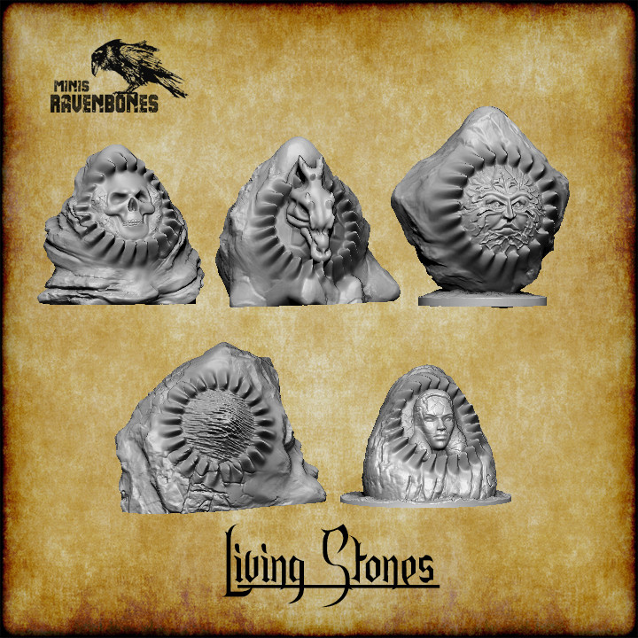 Living stone bundle Pre-supported's Cover