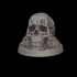 Skull Pillar (40mm round base) image