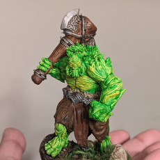 Picture of print of Birchwood Vale Adversaries The Forest Troll This print has been uploaded by Shayan Quraishi