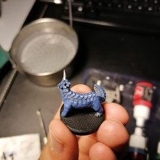 Picture of print of Guard Drake - Tabletop Miniature This print has been uploaded by Ronald de Boer