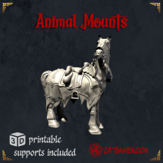 Animal Mounts
