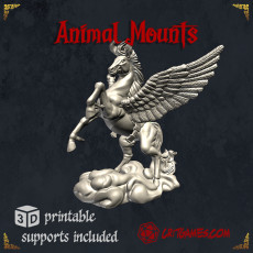 Animal Mounts