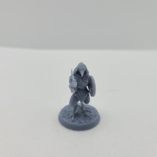 Picture of print of Kenku warriors 3 miniatures 32mm pre-supported