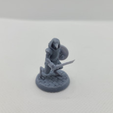 Picture of print of Kenku warriors 3 miniatures 32mm pre-supported