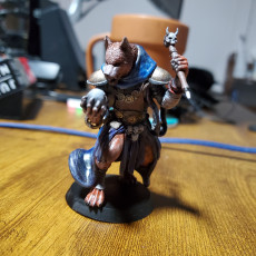 Picture of print of Coyote Necromancer - Tabletop Miniature