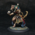 Coyote Necromancer - Tabletop Miniature (Pre-Supported) print image