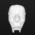 GHOST MASK (GENERATED BY REVOPOINT POP) image