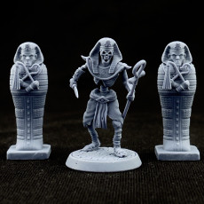 Picture of print of Pharaoh skeleton 32mm and 75mm pre-supported This print has been uploaded by SwenglishMaker