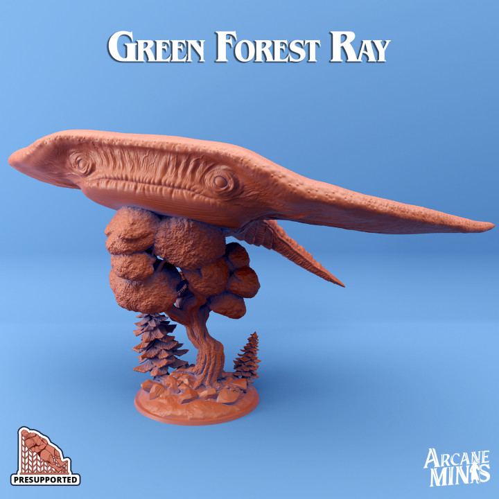 Green Forest Rays's Cover