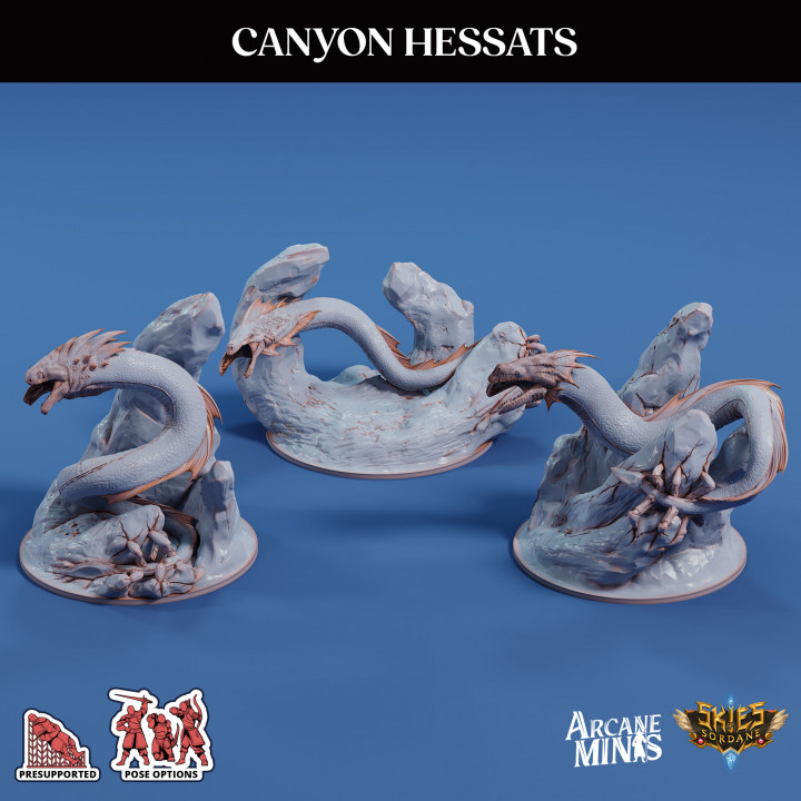Canyon Hessats's Cover