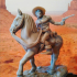 Bandit Western Rider image