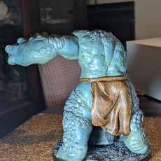 Picture of print of Mountain Troll (pre-supported)