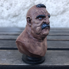 Picture of print of Bruiser Bust [Pre-supported]