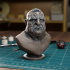 Bruiser Bust [Pre-supported] image