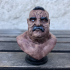 Bruiser Bust [Pre-supported] print image