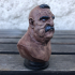 Bruiser Bust [Pre-supported] print image