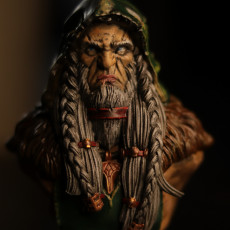 Picture of print of Druid Bust - [Pre-Supported]