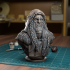 Druid Bust - [Pre-Supported] image