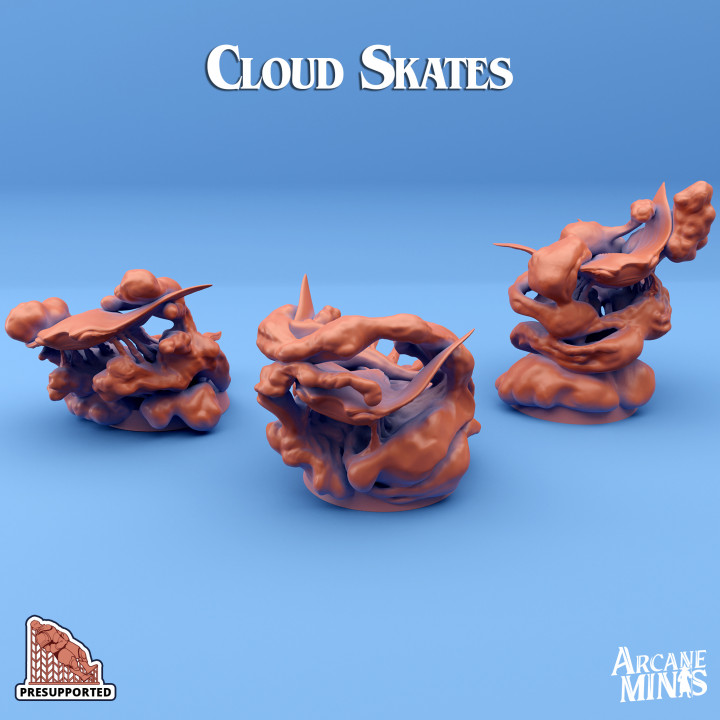 Cloud Skates's Cover
