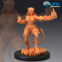 Devilkin Adventurer Fire Magic / Female Half Devil / Demon Spawn Rogue image