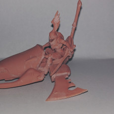 Picture of print of elda2  rider 1 support ready