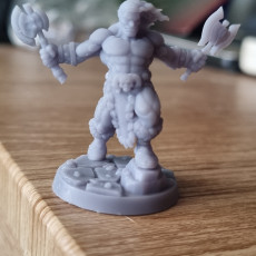 Picture of print of Torchlight Barbarian Hero