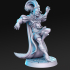 The Jester - Elf - 32mm - DnD - image