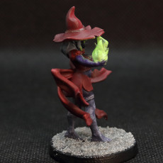 Picture of print of Veena - Elf Mage- 32mm - DnD -